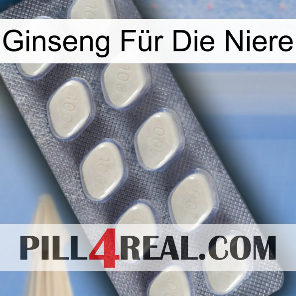 Ginseng Für Die Niere 08